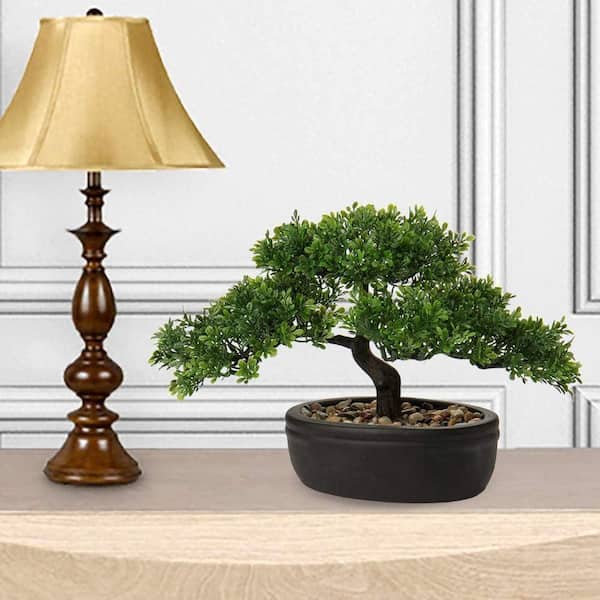 african fantasy philodendron Philodendron Angela | T. African Fantasy 1M Cutback main image 1