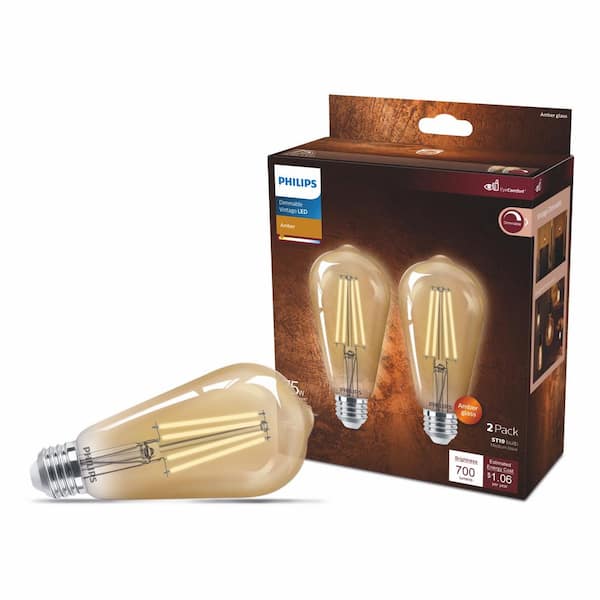 Philips 75-Watt Equivalent ST19 Glass Dimmable E26 Vintage Edison LED Light Bulb With EyeComfort Technology Amber 2000K (2-Pack)