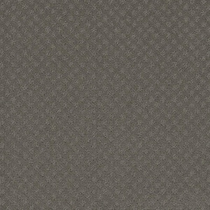 Camelia Lane - Bayberry - Gray 28 oz. SD Polyester Loop Installed Carpet