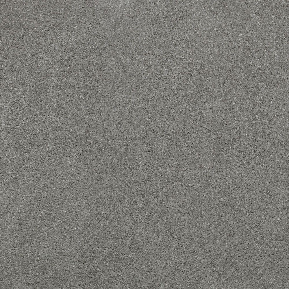 8 in. x 8 in. Texture Carpet Sample - Appreciate II - Color Dreams price history on PriceWatchPro