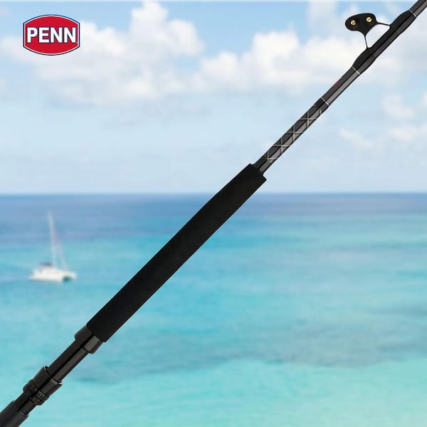Penn Ally II Boat Conventional Casting Fishing 1560450-HD - The