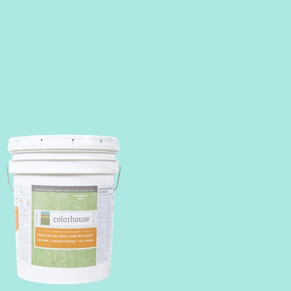 Colorhouse 5 gal. Sprout .01 Flat Interior Paint