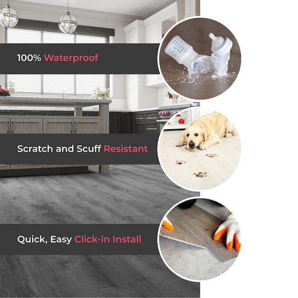 Lucida USA Gluecore Harbor Gray 22-mil x 7-3/32-in W x 48-in L Glue Down  Luxury Vinyl Plank Flooring (39-sq ft/ Carton) in the Vinyl Plank  department at