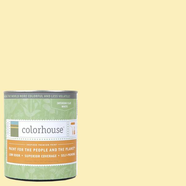 Colorhouse 1 qt. Aspire .01 Flat Interior Paint