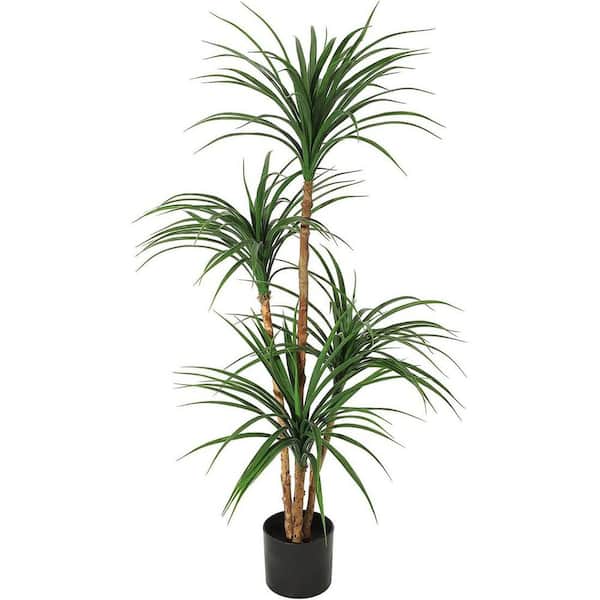 plants peace lily Peace Lily Sensation main image 1