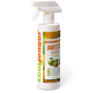 Ant and Crawling Insect Killer 16 oz., Ready to Use, 100% Efficacy, Extended Protection, Natural and Non-Toxic