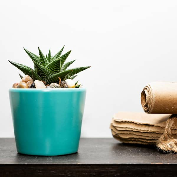 https://images.thdstatic.com/productImages/90fb2cdc-bde5-4eb9-b6fd-e15c51644bda/svn/haze-vigoro-plant-pots-521525-e1_600.jpg