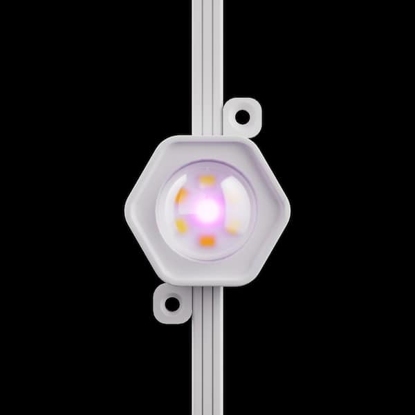 10 LED 16.4 ft. Plug-in Mini Integrated LED Novelty Permanent Outdoor String Light Expansion Set Powered by Hubspace