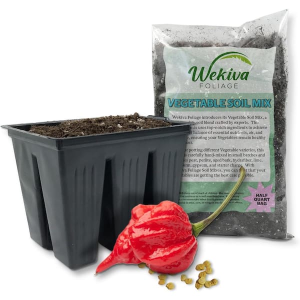 Trinidad Scorpion Pepper Seed Starter Kit-Pepper Seeds Liner Tray Half Quart Vegetable Soil-Grow Your Own Vegetables