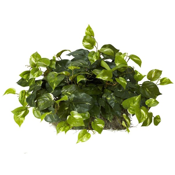 Nearly Natural Indoor 15 in. H Artificial Green Pothos Ledge Plant (Set on Foam) Silk Plant