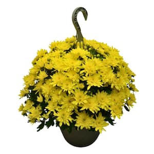masterpiece-flower-company-