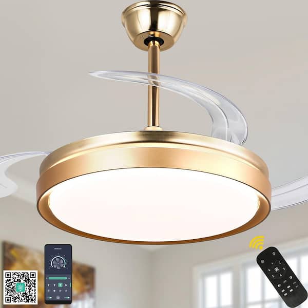 Bella Depot 42 in. Indoor Gold Retractable Ceiling Fan with LED Light and Remote, 6-Speed Reversible Ceiling Fans