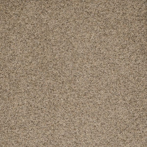 Home Decorators Collection Bradmore II - Shy - Beige 60 oz. SD Polyester Texture Installed Carpet