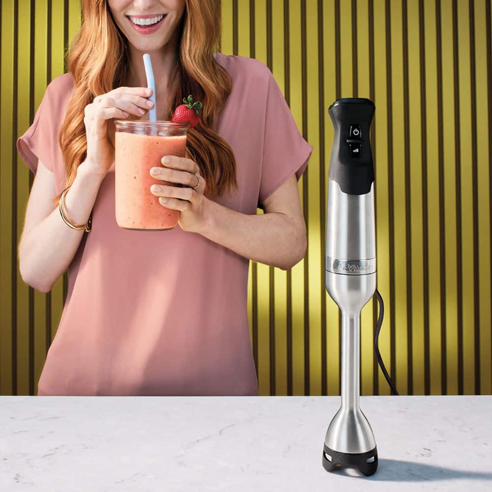 Silver Stainless Steel Immersion Blender with Whisk and Storage Case