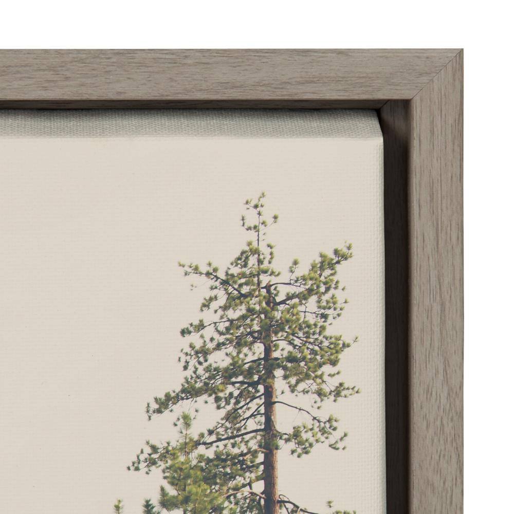 Sylvie Lake Tahoe Framed Landscape Canvas Art, 40.69x31.63