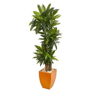 Real Touch 5.5 ft. Artificial Indoor Dracaena Plant in Orange Square Planter