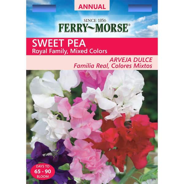 Ferry-Morse Sweet Pea Royal Family Mixed Colors Flower Seed