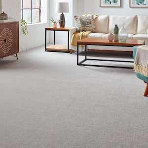 Silver Mane I  - Dover Cliffs - Gray 50 oz. Triexta Texture Installed Carpet