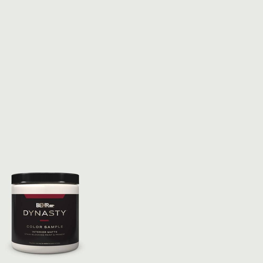 BEHR DYNASTY 8 oz. #BL-W08 Frothy Surf Matte Stain-Blocking  Interior/Exterior Paint and Primer Sample DY60016 - The Home Depot