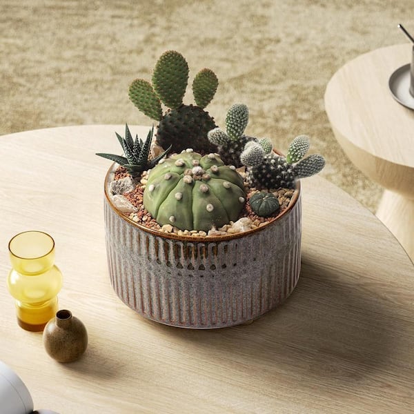 6.5 + 8 in. Ceramic Pots for Plants Indoor, Shallow Round Planter Set with  Drainage Hole, Set of 2 RT1040 - The Home Depot