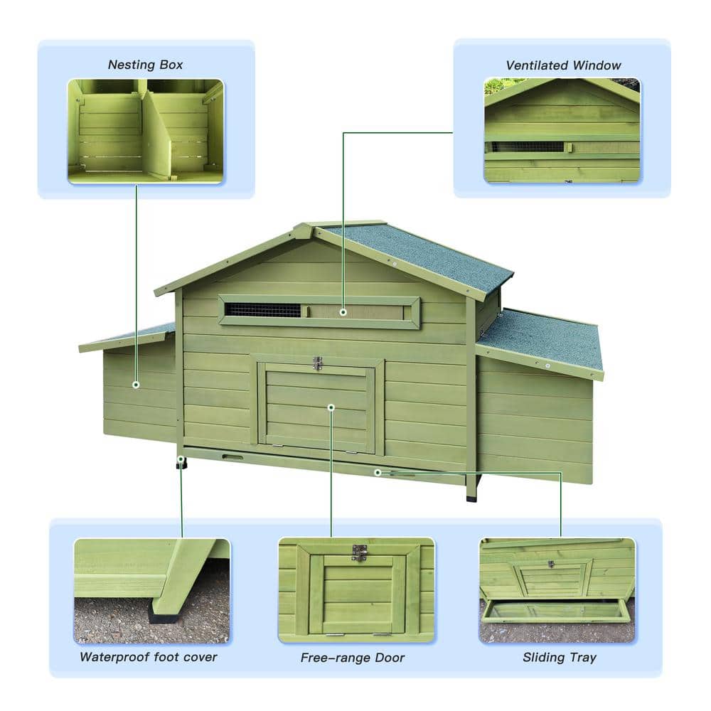 Green Wooden Chicken Coop with Nesting Boxes and Free-Range Doors