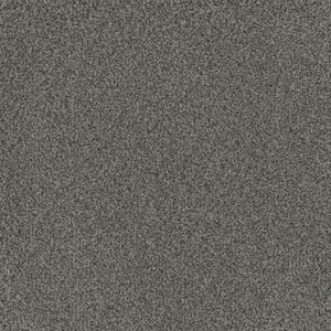 Serene Glory III-Relaxed Gray-65 oz. SD Polyester Texture Installed Carpet