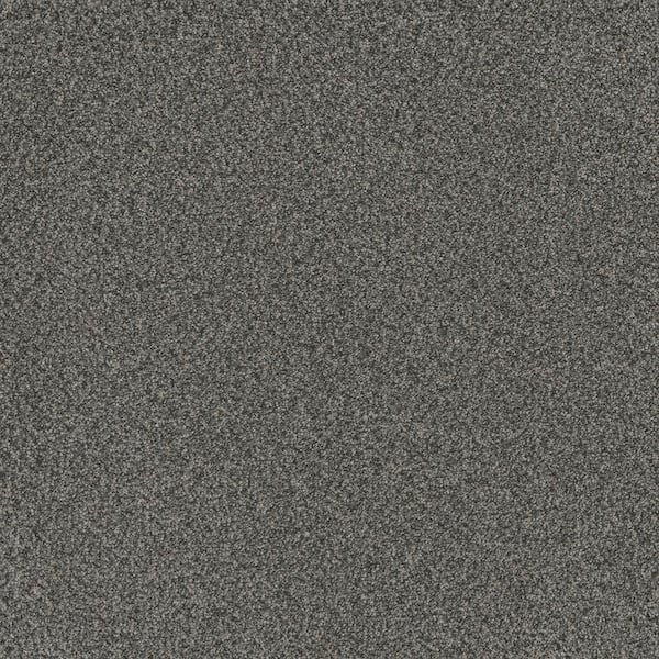 Home Decorators Collection Serene Glory III-Relaxed Gray-65 oz. SD Polyester Texture Installed Carpet