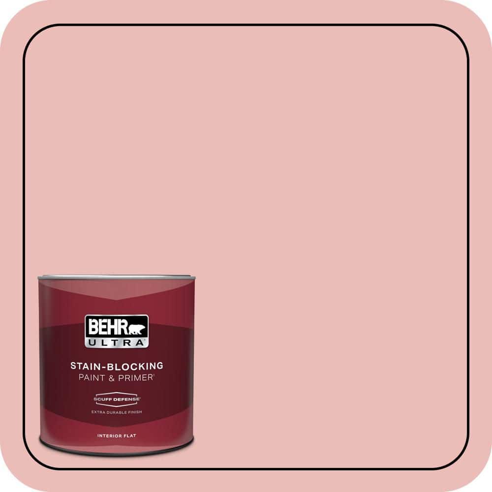 1 qt. Home Decorators Collection #HDC-CT-09 Bridal Bouquet Extra Durable Flat Interior Paint & Primer price history on PriceWatchPro