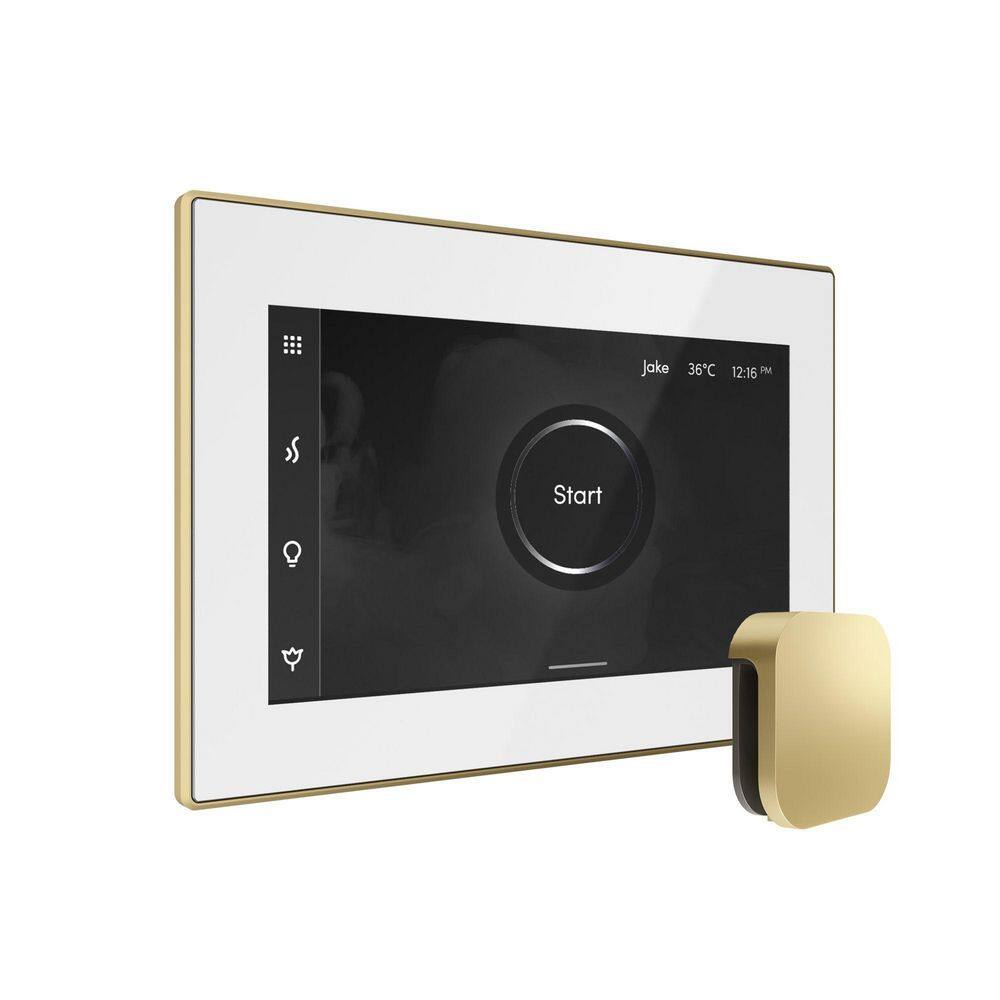 Bliss Max Steam Shower Control Package with iSteamX Control and Linear Steamhead in White Satin Brass price history on PriceWatchPro