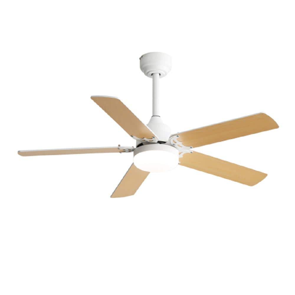 42 in. Indoor White Standard Ceiling Fan with Adjustable White Integrated L