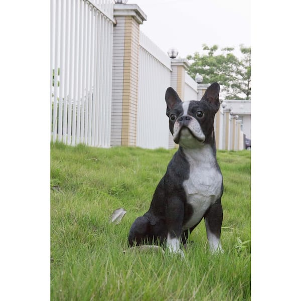Boston Terrier Statue