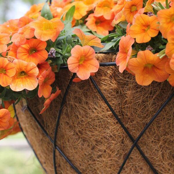 Pride Garden Products 18 in. AquaSav Coco Liner BC18 - The Home Depot