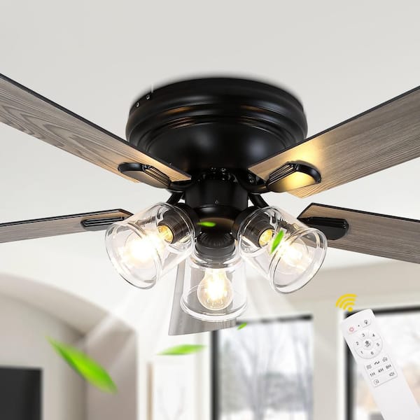 Oaks Aura Idahii 20 in. Black Fandelier Luxury Ceiling Fan with