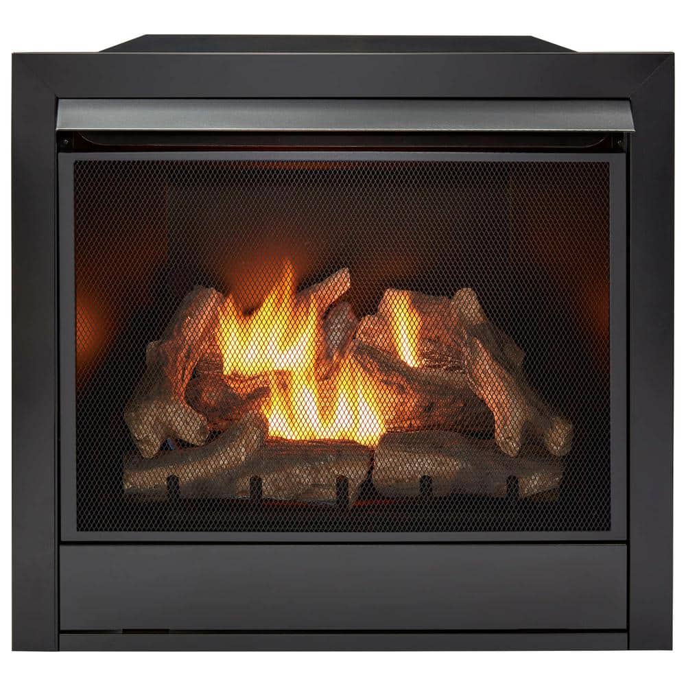 Dual Fuel Ventless Gas Fireplace Insert, Remote, 9 Logs, Natural Gas/Propan