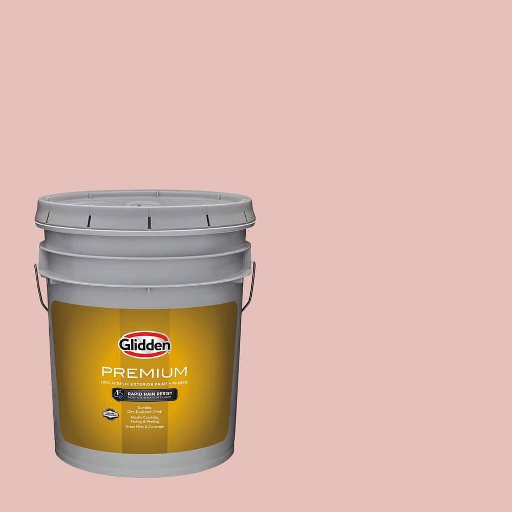 rose-petal-glidden-premium-