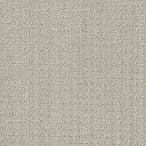 8 in. x 8 in. Pattern Carpet Sample - Dovetail -Color Tally