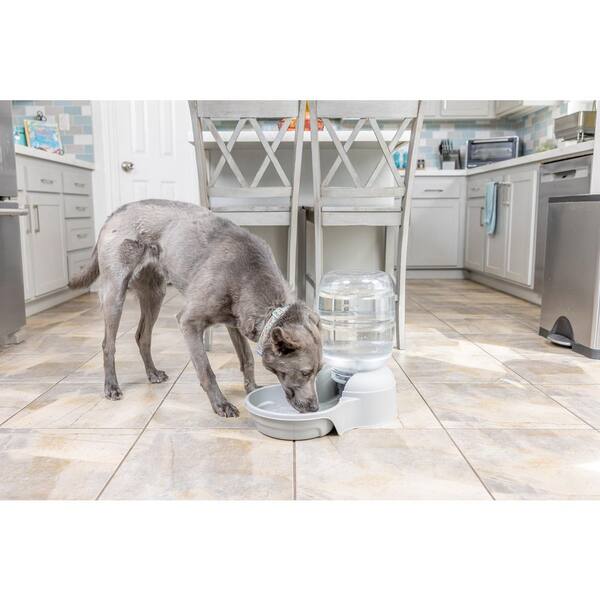 Aspen Pet Le Bistro Bleached Linen Gravity Dog or Cat