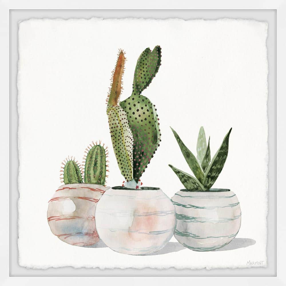 Cactus Planters by Parvez Taj Framed Nature Art Print 24 in. x 24 in.