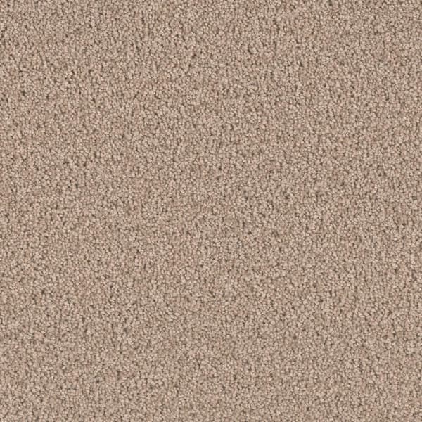 Home Decorators Collection 8 in. x 8 in. Texture Carpet Sample - Delicate Flower -Color Fine