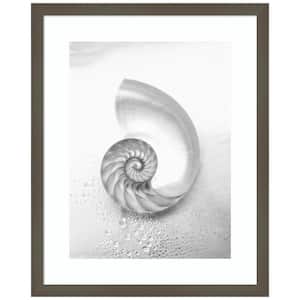 "Pearl Nautilus Shell Cut In Half" 1-Piece Wood Framed Black and White Nature Photography Wall Art 21 in. x 17 in.