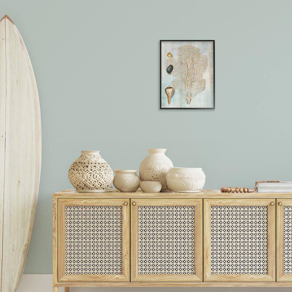 Detailed Coral & Seashells by Susan Arnot Black Framed Animal Giclee Art Print 20 in. x 16 in. price history on PriceWatchPro