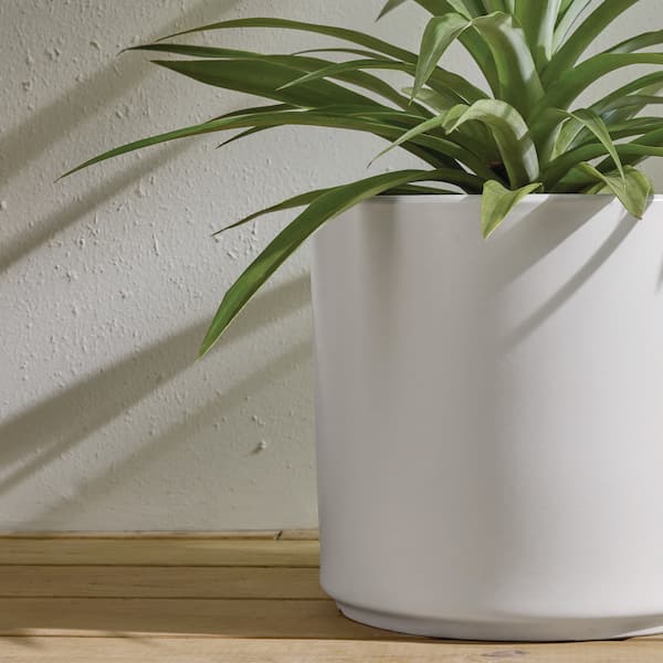 desert plant pots Mid Century Desert Planter