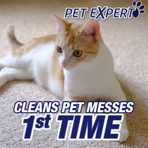 22 oz. Pet Expert High Traffic Foam Carpet Cleaner