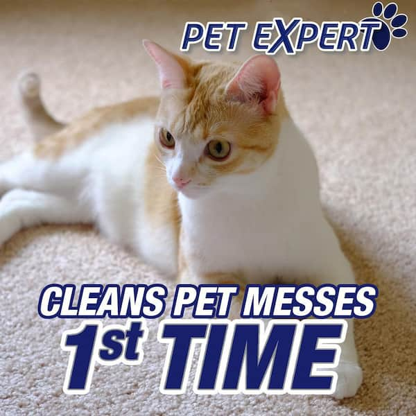 22 oz. Pet Expert High Traffic Foam Carpet Cleaner