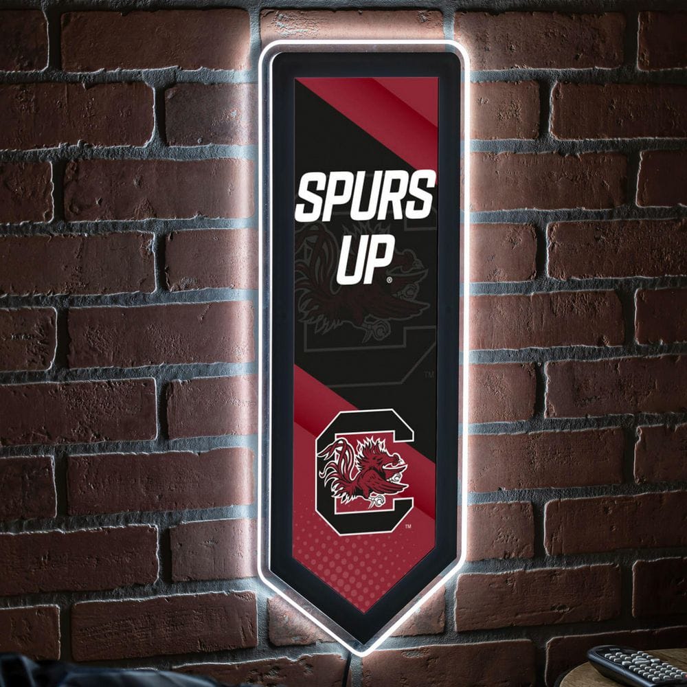 University of South Carolina Pennant 9 in. x 23 in. Plug-in LED Lighted Sign price history on PriceWatchPro