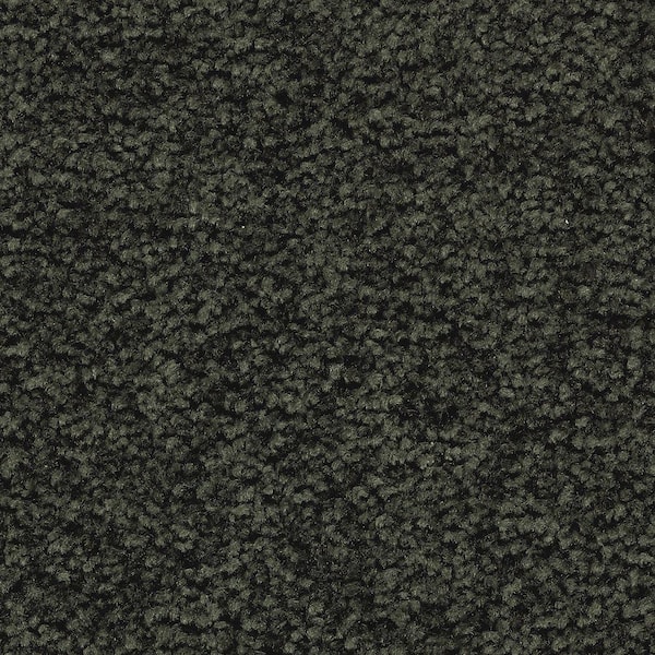 Lifeproof 8 in. x 8 in. Texture Carpet Sample - Unblemished I -Color Rockwall Vine