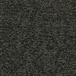 Unblemished I  - Rockwall Vine - Green 45 oz. Triexta Texture Installed Carpet