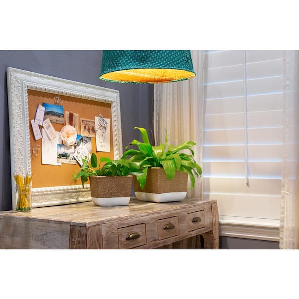 8 in. Bronwyn Small White & Natural Reed Cement Square Planter (8 in. D x 6.2 in. H) with Drainage Hole