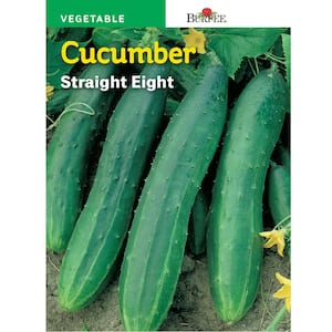 HL Cucumber Straight 8-Seed