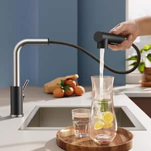 Single-Handle Kitchen Sink Faucet with Pull Down Sprayer Kitchen Faucet in Black Chrome